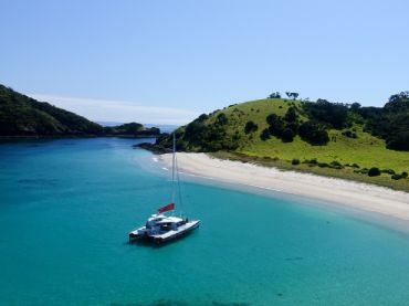 Carino Wildlife Cruises